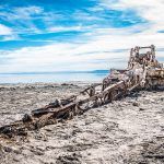 Fallout at the Salton Sea